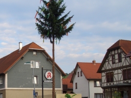 K07